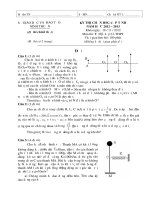 Đề thi chọn học sinh giỏi lớp cấp tỉnh năm học 2012-2013 môn vật lý cấp THPT 