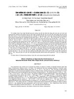 ẢNH HƯỞNG ĐỘ MẶN ĐẾN KHẢ NĂNG SINH SẢN CỦA CÁ RÔ PHI VẰN CHỌN GIỐNG TRONG MÔI TRƯỜNG LỢ MẶN (Oreochromis niloticusS)