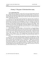 Nghiên cứu về tình hình kinh doanh theo mạng ở việt nam trong giai đoạn 2007 – 2009 