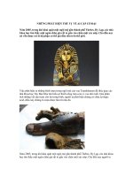 NHỮNG PHÁT HIỆN THÚ VỊ VỀ AI CẬP CỔ ĐẠI