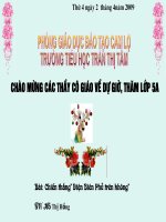 Lịc sử 5. Điện Biên Phủ trên không