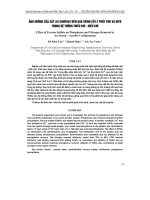 ảNH HƯởNG CủA SắT (II) SUNPHAT ĐếN QUá TRìNH Xử Lý PHốT PHO Và NITƠ TRONG Hệ THốNG THIếU KHí - HIếU KHí