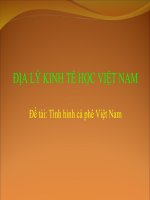 Địa lý kinh tế học việt nam (cà phê việt nam) 