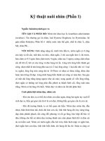 Kỹ thuật nuôi nhím (phần 1) 