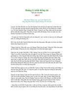 Hoàng Lê nhất thống chí 17