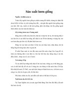 Sản xuất lươn giống 