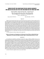 NGHIÊN CỨU CHIẾT TÁCH ANTHOCYANIN TỪ ĐÀI HOA HIBISCUS SABDARIFFA- ỨNG DỤNG ĐỂ SẢN XUẤT GIẤY CHỈ THỊ PHÁT HIỆN NHANH HÀN THE TRONG THỰC PHẨM