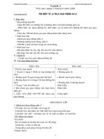 Giáo án HĐNG lớp 3