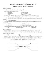 ĐE KT CUOI HKII - KSĐ4