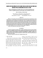 NGHIÊN CỨU ẢNH HƯỞNG CỦA LIỀU LƯỢNG PHÂN LÂN BÓN CHO ĐẬU TƯƠNG RAU TRÊN ĐẤT PHÙ SA SÔNG HỒNG Ở GIA LÂM - HÀ NỘI