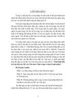 Tình hình đầu tư trực tiếp của Mỹ vào Việt nam. Thực trạng và một số giải pháp