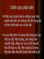 Tang truong KTChienluocPTKTXH 2001-2010