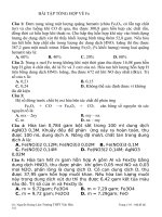 BÀI TẬP TỔNG HỢP VỀ SẮT