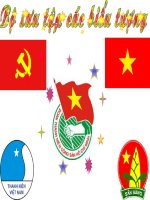 BO SUU TAP CAC BIEU TUONG- 812kb