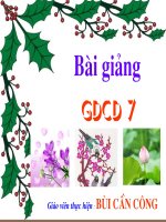 bảo vệ di sản văn hóa