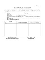 Mau khai ly lich nghe nghiep