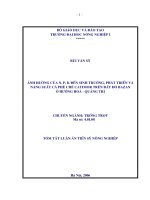 Ảnh hưởng của n, p, k đến sinh trưởng, phát triển và năng suất cà phê chè catimor trên đất đỏ bazan ở hướng hoá   quảng trị 