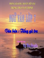 Ngu Van 7: Tieng Ga Trua