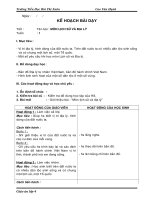 giao an lich su in roi