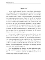 Học thuyết hình thái kinh tế xã hội với sự nghiệp công nghiệp hoá hiện - đại hoá ở Việt Nam