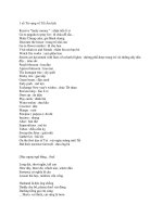 1 số từ vựng về tết âm lịchx 