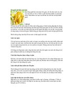 Bí quyết chế biến món luộc