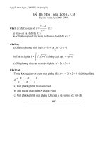 Đề thi kỳ 2 lớp 12 chương trình chuẩn