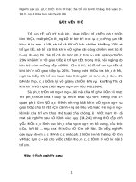 Nghiên cứu sự hoàn chỉnh về âm vị học trong độ tuổi 31-36 tháng ở trẻ em nội thành Hà nội.