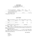 Mau quyet dinh dieu dong nhan vien