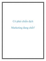Có phải chiến dịch marketing đang chết 