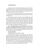 Vận dụng lý luận học thuyết về hình thái kinh tế xã hội vào sự nghiệp công nghiệp hoá, hiện đại hoá ở Việt Nam