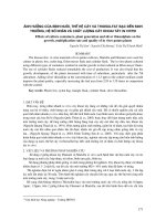 ảnh h-ởng của bình nuôi, thế hệ cây và thiosulfat bạc đến sinh tr-ởng, hệ số nhân và chất l-ợng cây khoai tây in vitro