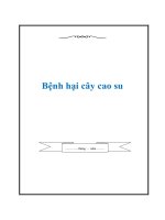 Bệnh hại cây cao su (full) 