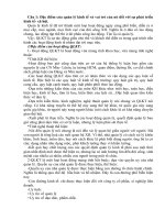 nguyen ly quan ly kinh te