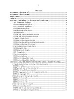 Một số phương pháp giấu tin trong tài liệu số hóa 