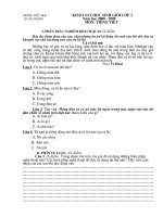 ĐỀ KHẢO SÁT HS GIỎI LỚP 3 - MÔN TIẾNG VIỆT (SỐ 3)