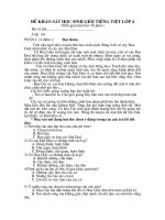 ĐỀ KHẢO SÁT HSG TIẾNG VIỆT 4
