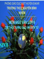 Tiết 146. RoBinXơn ngoài đảo hoang