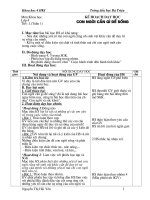 GA Khoa học lớp 4 HKI - NH 2009-2010