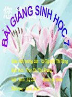 Bài giảng môn sinh học THCS :