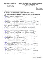 ĐỀ THI TUYỂN SINH ĐẠI HỌC, CAO ĐẲNG NĂM 2008 Môn thi: TIẾNG TRUNG QUỐC, khối D - Mã đề thi 602