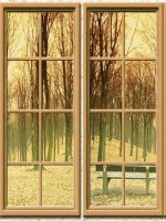 bộ câu  hỏi thi đại học phần 