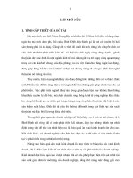 Nâng cao hiệu quả sản xuất kinh doanh tại các DN chế biến thủy hải sản ở bình định 