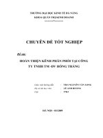 HOÀN THIỆN KÊNH PHÂN PHỐI TẠI CÔNG TY TNHH TM -DV HỒNG THẮNG