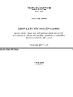 Hoàn thiện công tác kế toán chi phí sản xuất và tính giá thành sản phẩm tại công ty cổ phần dệt may hoàng thị loan