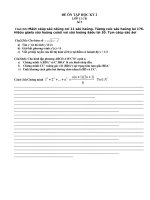 Đề ôn tập kỳ 2 lớp 11 CB( số 5)