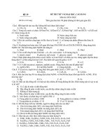 ĐỀ THI ĐH + Đáp án (ĐỀ 19)