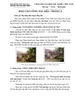 Báo cáo Đội tháng 3