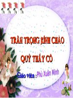 Chùa thời Lý - Lịch sử 4