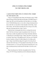 Định hướng và mục tiêu phát triển của Công ty CP CNTT Hoàng Anh